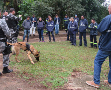 Profissionais da Sanepar recebem treinamento periodicamente. Foto: Divulgação/Sanepar