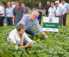 O Paraná é o maior produtor nacional de feijão-preto e um dos principais no cultivo de outras variedades do grão, que tem presença obrigatória no prato dos brasileiros