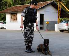 A soldado Angélica Aparecida Chuede é a primeira mulher a fazer parte da Companhia de Operações com Cães (COC) do Batalhão de Operações Especiais (BOPE), em 47 anos de criação da subunidade. A inclusão da militar estadual aconteceu com a formatura dela no Curso de Cinotecnia na última semana, que fez todas as etapas com seu cão Hunter.  -  Curitiba, 04/07/2019  =-  Foto: Soldado Amanda Morais