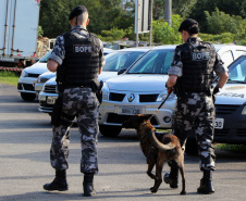 A soldado Angélica Aparecida Chuede é a primeira mulher a fazer parte da Companhia de Operações com Cães (COC) do Batalhão de Operações Especiais (BOPE), em 47 anos de criação da subunidade. A inclusão da militar estadual aconteceu com a formatura dela no Curso de Cinotecnia na última semana, que fez todas as etapas com seu cão Hunter.  -  Curitiba, 04/07/2019  =-  Foto: Soldado Amanda Morais