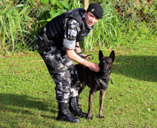 A soldado Angélica Aparecida Chuede é a primeira mulher a fazer parte da Companhia de Operações com Cães (COC) do Batalhão de Operações Especiais (BOPE), em 47 anos de criação da subunidade. A inclusão da militar estadual aconteceu com a formatura dela no Curso de Cinotecnia na última semana, que fez todas as etapas com seu cão Hunter.  -  Curitiba, 04/07/2019  =-  Foto: Soldado Amanda Morais