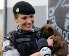 A soldado Angélica Aparecida Chuede é a primeira mulher a fazer parte da Companhia de Operações com Cães (COC) do Batalhão de Operações Especiais (BOPE), em 47 anos de criação da subunidade. A inclusão da militar estadual aconteceu com a formatura dela no Curso de Cinotecnia na última semana, que fez todas as etapas com seu cão Hunter.  -  Curitiba, 04/07/2019  =-  Foto: Soldado Amanda Morais