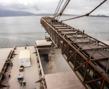 Em junho, os Portos de Paranaguá e Antonina movimentaram quase 5,3 milhões de toneladas de carga. O volume é 15% maior que o registrado no mesmo mês de 2018, quando foram 4,6 milhões de toneladas. Os números foram divulgados nesta terça-feira (9) pela empresa pública Portos do Paraná.  -  Foto: Cláudio Neves/Portos do Paraná