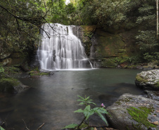 04/2019 - Capanema - Trilha da Taquara. Foto: José Fernando Ogura