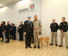 O governador em exercício Darci Piana foi escolhido pelo Instituto Boina Azul, do Rio Grande do Sul, para representar o Paraná na homenagem à Segurança Pública do Estado. A solenidade de entrega da Medalha de Grau Cavaleiro ocorreu nesta quinta-feira (18) no salão de atos do Palácio Iguaçu. Foto: José Fernando Ogura/ANPr