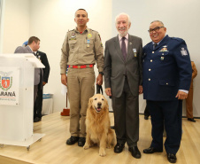 O governador em exercício Darci Piana foi escolhido pelo Instituto Boina Azul, do Rio Grande do Sul, para representar o Paraná na homenagem à Segurança Pública do Estado. A solenidade de entrega da Medalha de Grau Cavaleiro ocorreu nesta quinta-feira (18) no salão de atos do Palácio Iguaçu. Foto: José Fernando Ogura/ANPr