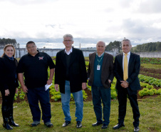 Presos da Penitenciária Central do Estado - Unidade de Progressão (PCE-UP), localizada em Piraquara, na Região Metropolitana de Curitiba, trabalham no plantio de hortaliças e verduras orgânicas produzidas no terreno da unidade penal. Nesta quinta-feira (18), o secretário de Estado da Agricultura e Abastecimento, Norberto Anacleto Ortigara, conheceu a iniciativa, que pode ser ampliada para outras regiões do Estado. Foto: Divulgação/SEAB