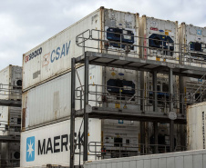 As exportações de carne porco pelo Porto de Paranaguá cresceram 58% na comparação entre o primeiro semestre de 2018 e o de 2019. Neste ano, foram 36,2 mil toneladas exportadas do produto, com receita gerada de US$ 76 milhões. De janeiro a junho do ano anterior saíram do terminal 23 mil toneladas com rumo a outros países, somando US$ 49 milhões em receita. Foto: Claudio Neves/Portos do Paraná