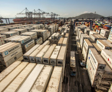 As exportações de carne porco pelo Porto de Paranaguá cresceram 58% na comparação entre o primeiro semestre de 2018 e o de 2019. Neste ano, foram 36,2 mil toneladas exportadas do produto, com receita gerada de US$ 76 milhões. De janeiro a junho do ano anterior saíram do terminal 23 mil toneladas com rumo a outros países, somando US$ 49 milhões em receita. Foto: Claudio Neves/Portos do Paraná