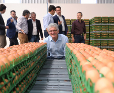 O governador Carlos Massa Ratinho Junior participou nesta terça-feira (23), em Cascavel, do evento de certificação SISBI (Sistema Brasileiro de Inspeção de Produtos de Origem Animal) para a Granja Refem, que desenvolve um projeto pioneiro no Estado de produção de ovos a partir da criação de galinhas sem gaiola. Na foto, o secretário da Agricultura, Norberto Ortigara.Cascavel, 23-07-19.Foto: Arnaldo Alves / ANPr.