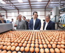 O governador Carlos Massa Ratinho Junior participou nesta terça-feira (23), em Cascavel, do evento de certificação SISBI (Sistema Brasileiro de Inspeção de Produtos de Origem Animal) para a Granja Refem, que desenvolve um projeto pioneiro no Estado de produção de ovos a partir da criação de galinhas sem gaiola. Foto: Arnaldo Alves / ANPr.