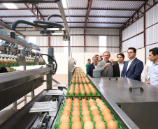 O governador Carlos Massa Ratinho Junior participou nesta terça-feira (23), em Cascavel, do evento de certificação SISBI (Sistema Brasileiro de Inspeção de Produtos de Origem Animal) para a Granja Refem, que desenvolve um projeto pioneiro no Estado de produção de ovos a partir da criação de galinhas sem gaiola. Foto: Arnaldo Alves / ANPr.
