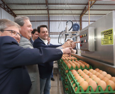 O governador Carlos Massa Ratinho Junior participou nesta terça-feira (23), em Cascavel, do evento de certificação SISBI (Sistema Brasileiro de Inspeção de Produtos de Origem Animal) para a Granja Refem, que desenvolve um projeto pioneiro no Estado de produção de ovos a partir da criação de galinhas sem gaiola. Foto: Arnaldo Alves / ANPr.