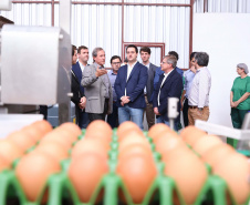 O governador Carlos Massa Ratinho Junior participou nesta terça-feira (23), em Cascavel, do evento de certificação SISBI (Sistema Brasileiro de Inspeção de Produtos de Origem Animal) para a Granja Refem, que desenvolve um projeto pioneiro no Estado de produção de ovos a partir da criação de galinhas sem gaiola. Foto: Rodrigo Felix Leal/ANPr