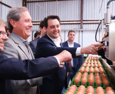 O governador Carlos Massa Ratinho Junior participou nesta terça-feira (23), em Cascavel, do evento de certificação SISBI (Sistema Brasileiro de Inspeção de Produtos de Origem Animal) para a Granja Refem, que desenvolve um projeto pioneiro no Estado de produção de ovos a partir da criação de galinhas sem gaiola. Foto: Rodrigo Felix Leal/ANPr