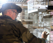 Uma operação da Polícia Militar iniciada nesta terça-feira (24) com o objetivo de combater o tráfico e o comércio de aves silvestres cumpriu mandados de prisão em Curitiba, Almirante Tamandaré, Campo Largo, Fazenda Rio Grande, Piraquara, Colombo e Cerro Azul. Foto: Soldado Ismael Ponchio