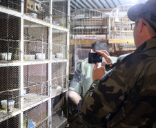 Uma operação da Polícia Militar iniciada nesta terça-feira (24) com o objetivo de combater o tráfico e o comércio de aves silvestres cumpriu mandados de prisão em Curitiba, Almirante Tamandaré, Campo Largo, Fazenda Rio Grande, Piraquara, Colombo e Cerro Azul. Foto: Soldado Ismael Ponchio