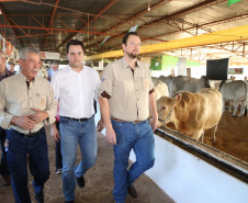 Governador Carlos Massa Ratinho Junior visita o 5º Show Pecuário de Cascavel. 23/07/2019. Foto: José Fernando Ogura/ANPr