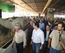 Governador Carlos Massa Ratinho Junior visita o 5º Show Pecuário de Cascavel. 23/07/2019. Foto: José Fernando Ogura/ANPr