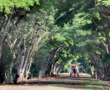 Hotel Fazenda Itacorá. Itaipulândia. Foto: José Fernando Ogura/ANPr