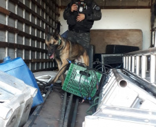 A Polícia Civil do Paraná (PCPR), o Ministério Público e a Polícia Militar iniciaram uma operação contra associação criminosa envolvida com o tráfico de drogas nas cidades de Ubiratã, Juranda e Campina da Lagoa. Policiais estão nas ruas desde as primeiras horas da manhã desta quinta-feira (1) para cumprir 80 mandados judiciais. Foto: Divulgação/PCPR