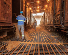 A quantidade de vagões com Carga Geral e granéis sólidos para exportação (grãos, farelo e açúcar) que descarregaram foi a maior já registrada no Porto de Paranaguá, em um único mês. Foram 18.776 vagões recebidos em julho, 333 a mais que a marca anterior, registrada em maio de 2018. Foto: Claudio Neves/Portos do Paraná