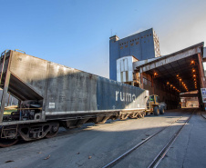 A quantidade de vagões com Carga Geral e granéis sólidos para exportação (grãos, farelo e açúcar) que descarregaram foi a maior já registrada no Porto de Paranaguá, em um único mês. Foram 18.776 vagões recebidos em julho, 333 a mais que a marca anterior, registrada em maio de 2018. Foto: Claudio Neves/Portos do Paraná