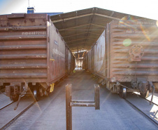 A quantidade de vagões com Carga Geral e granéis sólidos para exportação (grãos, farelo e açúcar) que descarregaram foi a maior já registrada no Porto de Paranaguá, em um único mês. Foram 18.776 vagões recebidos em julho, 333 a mais que a marca anterior, registrada em maio de 2018. Foto: Claudio Neves/Portos do Paraná