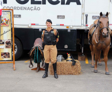 Curitiba, 11 de agosto de 2019. 23ª Corrida Pedestre Coronel Sarmento