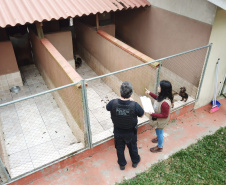 A Polícia Civil do Paraná (PCPR) cumpriu 11 mandados de busca e apreensão nesta terça-feira (13) em endereços ligados a uma rede de pet shops. Sócios e funcionários da empresa são suspeitos por maus-tratos a animais, estelionato e falsificação de documentos privados. Foto: Divulgação/Polícia Civil