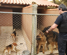 A Polícia Civil do Paraná (PCPR) cumpriu 11 mandados de busca e apreensão nesta terça-feira (13) em endereços ligados a uma rede de pet shops. Sócios e funcionários da empresa são suspeitos por maus-tratos a animais, estelionato e falsificação de documentos privados. Foto: Divulgação/Polícia Civil