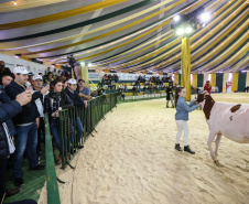 O governador Carlos Massa Ratinho Junior visita nesta quinta-feira (15), a Agroleite, realizado pela Cooperativa Castrolanda, em Castro, nos Campos Gerais. Considerado um dos maiores eventos da cadeia do leite na América, a Agroleite tem foco na tecnologia, produtividade e melhores resultados para os produtores. Castro, 15/08/2019 -  Foto: Geraldo Bubniak/AEN