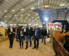 O governador Carlos Massa Ratinho Junior visita nesta quinta-feira (15), a Agroleite, realizado pela Cooperativa Castrolanda, em Castro, nos Campos Gerais. Considerado um dos maiores eventos da cadeia do leite na América, a Agroleite tem foco na tecnologia, produtividade e melhores resultados para os produtores. Castro, 15/08/2019 -  Foto: Geraldo Bubniak/AEN