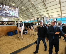 O governador Carlos Massa Ratinho Junior visita nesta quinta-feira (15), a Agroleite, realizado pela Cooperativa Castrolanda, em Castro, nos Campos Gerais. Considerado um dos maiores eventos da cadeia do leite na América, a Agroleite tem foco na tecnologia, produtividade e melhores resultados para os produtores. Castro, 15/08/2019 -  Foto: Geraldo Bubniak/AEN
