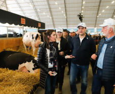 O governador Carlos Massa Ratinho Junior reforçou nesta quinta-feira (15), na Agroleite, em Castro, a necessidade de o Paraná agregar tecnologia e industrialização à produção do leite, mantendo o Estado em uma posição de destaque no País. Em sua 19ª edição, a feira é uma das principais vitrines do Brasil de novas tecnologias para o setor.