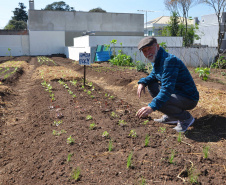 A ideia da horta comunitária no Boqueirão veio da cabeça do agricultor Lincoln Willian Polycarpo. Nascido em família de cafeicultores do Norte do Paraná, ele migrou para Curitiba após a geada de 1975, que dizimou os cafezais. “Nunca deixei de ser agricultor”, afirmou. Em 1996, ele apresentou o projeto. Um ano e meio depois foi feita parceria com a prefeitura e criada a primeira horta. No entanto, aos poucos o terreno virou lixeira e o mato se alastrou.Foto: Divulgação/SESA