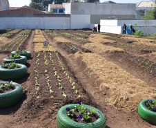 O trabalho de revitalização da Horta Comunitária Visitação, no Bairro Boqueirão, em Curitiba, foi inaugurado nesta sexta-feira (16)