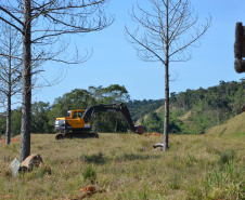 A construção de um novo Posto de Fiscalização de Trânsito Agropecuário (PFTA) da Agência de Defesa Agropecuária do Paraná (Adapar) em Campina Grande do Sul, na Região Metropolitana de Curitiba, deve ampliar o potencial de defesa da sanidade do Estado