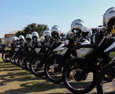 A Polícia Militar realizou duas novas edições da operação Tático Móvel na semana passada em Curitiba. O trabalho preventivo de segurança teve mais de 1,8 mil pessoas e 665 veículos abordados, com 16 prisões e 187 autos de infração lavrados. As ações envolveram 550 policiais entre quinta-feira (15) e sexta-feira (16/08).