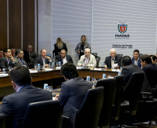 A passagem da comitiva paranaense, liderada pela vice-governador Darci Piana, na semana passada, pela República Tcheca já rende acordos para o Estado