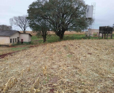 A Secretaria de Estado da Administração e da Previdência lançou o Edital de Concorrência Pública 37/2019 para a venda de 24 imóveis públicos que estão sem uso. Juntas, as propriedades têm valor total de R$15.456.229,50. O formato da licitação é a apresentação da maior oferta a partir do mínimo estipulado. Terreno em Assaí.