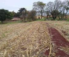 A Secretaria de Estado da Administração e da Previdência lançou o Edital de Concorrência Pública 37/2019 para a venda de 24 imóveis públicos que estão sem uso. Juntas, as propriedades têm valor total de R$15.456.229,50. O formato da licitação é a apresentação da maior oferta a partir do mínimo estipulado. Terreno em Assaí.