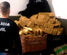 As ações integradas das forças de segurança pública do Paraná resultaram em aumento de apreensões de drogas nos sete primeiros meses deste ano, em comparação com o mesmo período do ano anterior