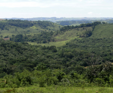 Estado abre 220 vagas para residência técnica na área ambiental. Foto: SEDEST