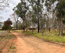 O Instituto de Terras, Cartografia e Geologia do Paraná (ITCG) assinou um Termo de Cooperação para que seja concluído o processo de reforma agrária e regularização fundiária dos assentamentos Norte Sul e Novo Horizonte, entre os municípios de Cafeara e Santo Inácio, no Noroeste do Estado, com anuência da Superintendência do Instituto Nacional de Colonização e Reforma Agrária (Incra). Foto: Divulgação/ITCG