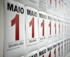 Montagem da 14ª  Bienal Iinetrnacional de Arte Comtemporâneade Curitiba no Museu Oscar Niemeyer(MON).Curitiba, 16 de setembro de 2019.Foto: Kraw Penas/SECC