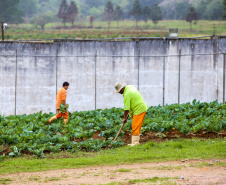 No Paraná, 7.002 presos custodiados pelo Departamento Penitenciário Estadual (Depen) trabalham em projetos para a remição de pena, em todas as unidades penais do Estado, o que representa 30% da população carcerária do Paraná. Segundo colocado no ranking nacional, os detentos trabalham em 11 fábricas de uniformes, sete de pavers (bloquetos de pavimentação de calçadas), uma de bolas, uma de fraldas, uma indústria gráfica e uma de tijolos ecológicos.-Foto: Gilson Abreu/AEN