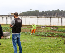 No Paraná, 7.002 presos custodiados pelo Departamento Penitenciário Estadual (Depen) trabalham em projetos para a remição de pena, em todas as unidades penais do Estado, o que representa 30% da população carcerária do Paraná. Segundo colocado no ranking nacional, os detentos trabalham em 11 fábricas de uniformes, sete de pavers (bloquetos de pavimentação de calçadas), uma de bolas, uma de fraldas, uma indústria gráfica e uma de tijolos ecológicos.-Foto: Gilson Abreu/AEN