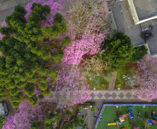 A primavera começa às 4h50 desta segunda-feira, 23 de setembro, e termina à 1h19 de 22 de dezembro. Segundo a previsão do Simepar, no primeiro dia da estação as temperaturas serão amenas na maior parte do Paraná. As mínimas devem ficar entre 5 oC em Rio Negro e 17 oC em Guaíra. As máximas devem variar de 13 oC em Curitiba a 29 oC em Paranavaí e Umuarama. Foto: José Fernando Ogura/AEN