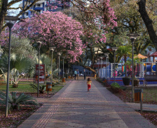 A primavera começa às 4h50 desta segunda-feira, 23 de setembro, e termina à 1h19 de 22 de dezembro. Segundo a previsão do Simepar, no primeiro dia da estação as temperaturas serão amenas na maior parte do Paraná. As mínimas devem ficar entre 5 oC em Rio Negro e 17 oC em Guaíra. As máximas devem variar de 13 oC em Curitiba a 29 oC em Paranavaí e Umuarama. Foto: José Fernando Ogura/AEN